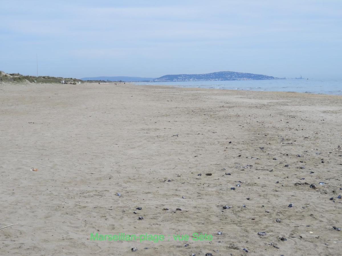 Horte Neuve Marseillan  Dış mekan fotoğraf